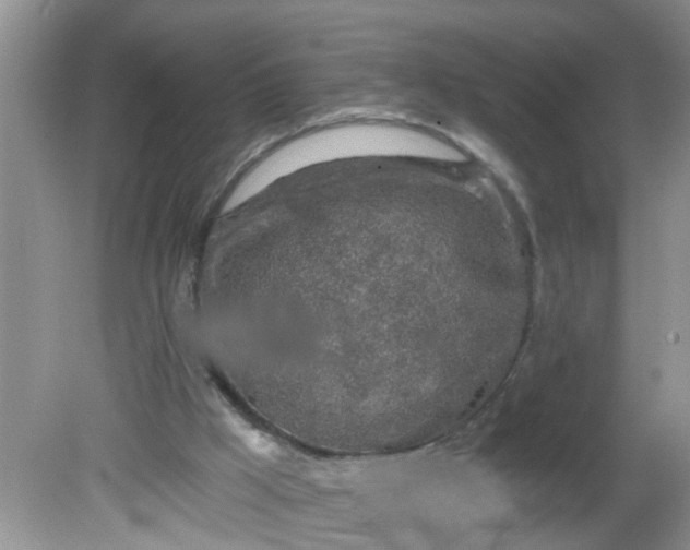 X0000081600009200701291413