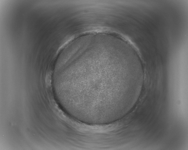 X0000081600010200701291413