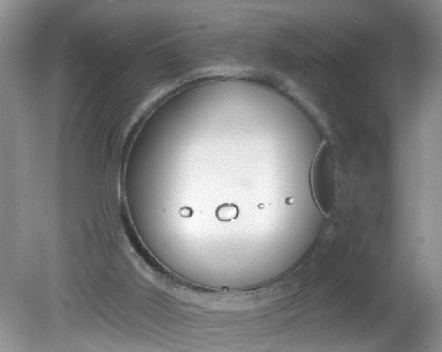 X0000081600011200701291413