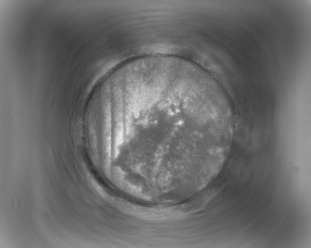 X0000081600012200701291413