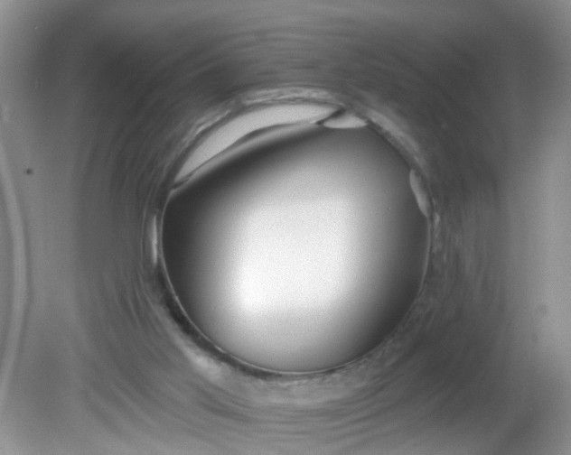 X0000081600013200701291413