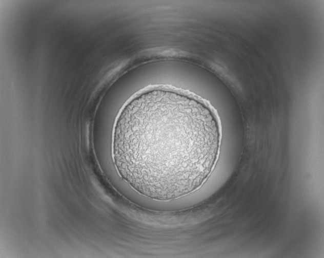 X0000081600014200701291413