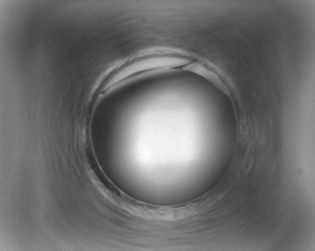 X0000081600015200701291413