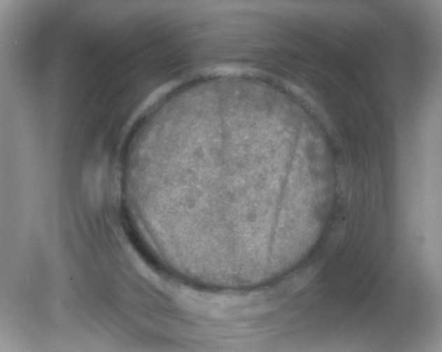 X0000081600016200701291413