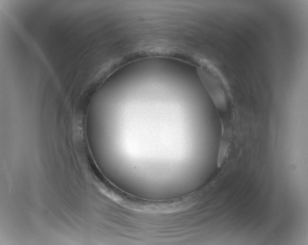 X0000081600017200701291413