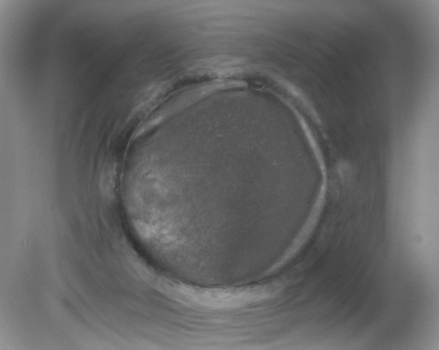 X0000081600018200701291413