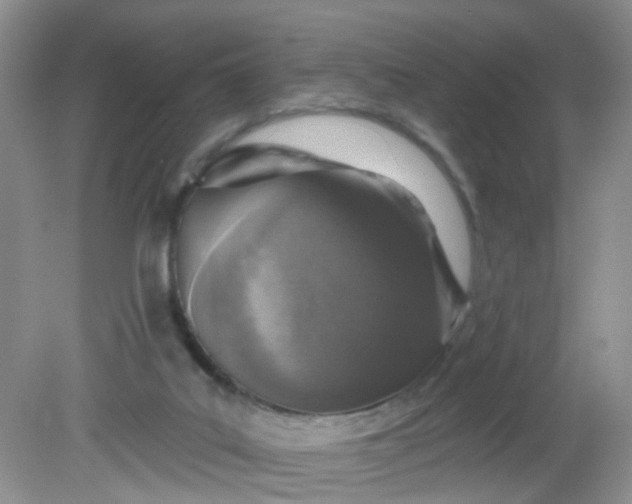 X0000081600019200701291413