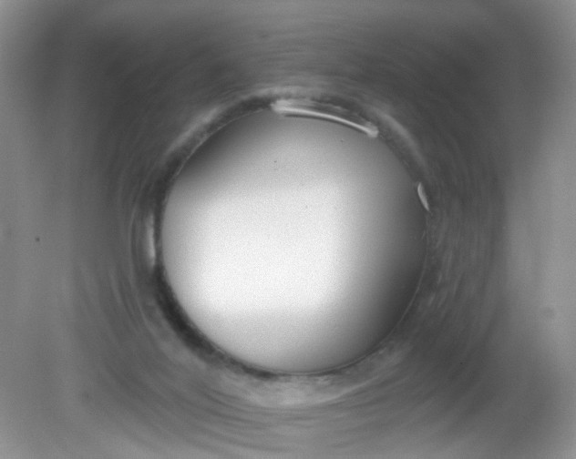 X0000081600020200701291413