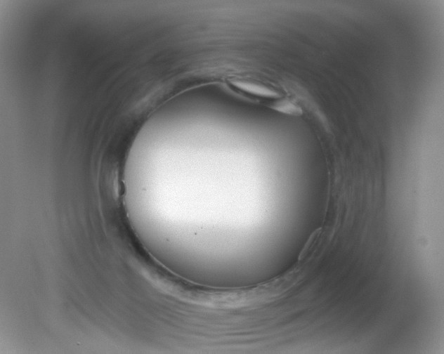 X0000081600021200701291413