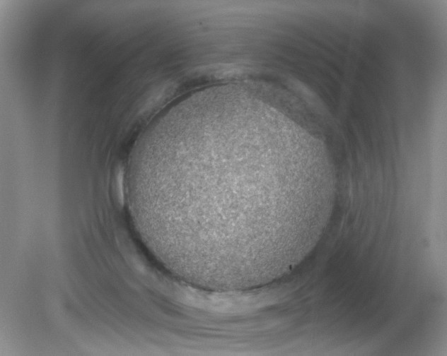 X0000081600022200701291413