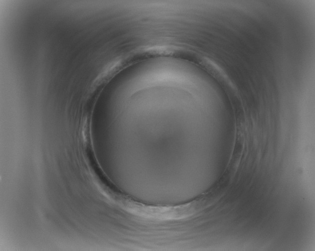 X0000081600023200701291413