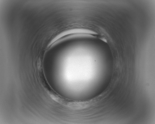 X0000081600025200701291413