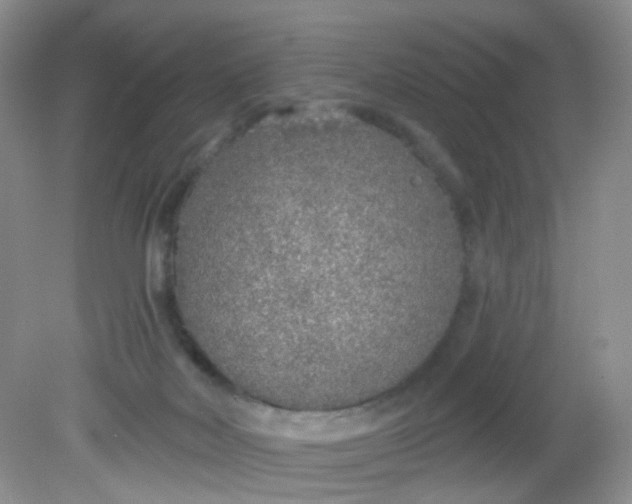 X0000081600026200701291413