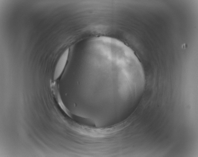 X0000081600027200701291413