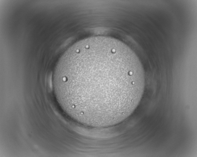 X0000081600028200701291413