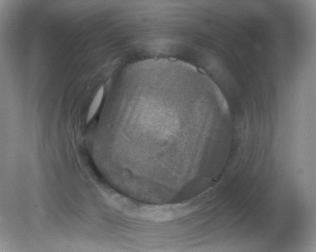 X0000081600029200701291413