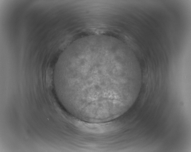 X0000081600030200701291413