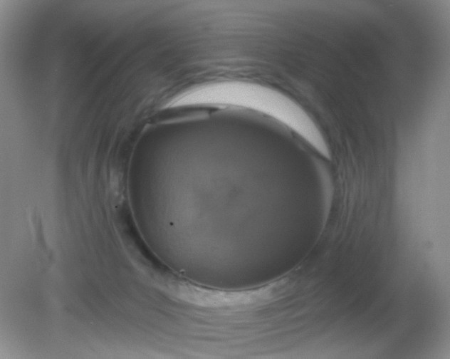 X0000081600031200701291413