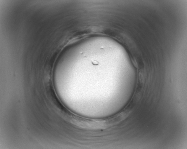 X0000081600032200701291413