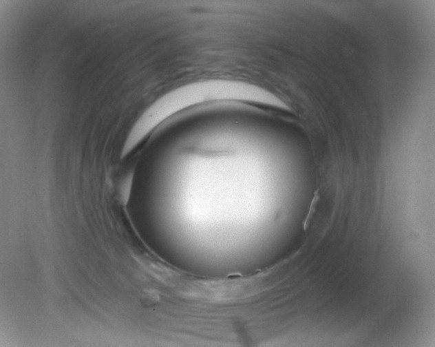 X0000081600033200701291413