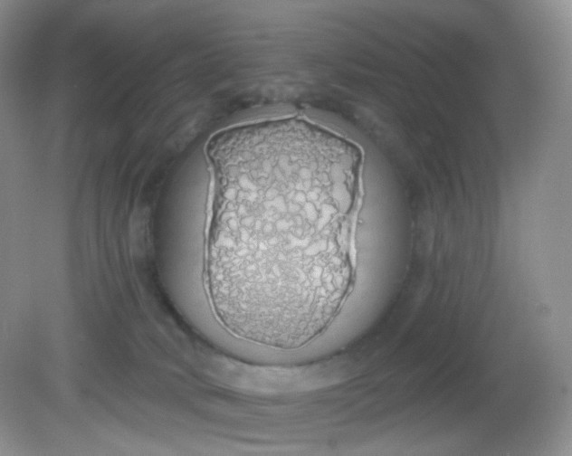 X0000081600034200701291413