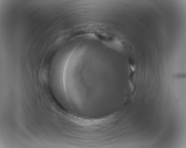 X0000081600035200701291413