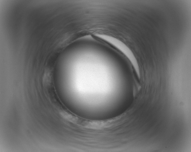 X0000081600037200701291413