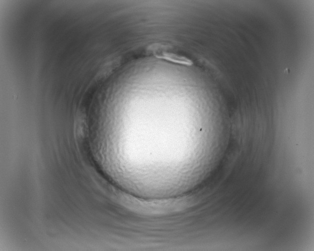 X0000081600038200701291413