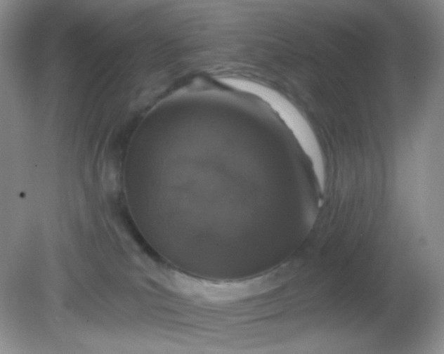 X0000081600039200701291413