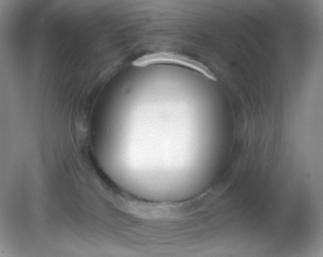 X0000081600040200701291413