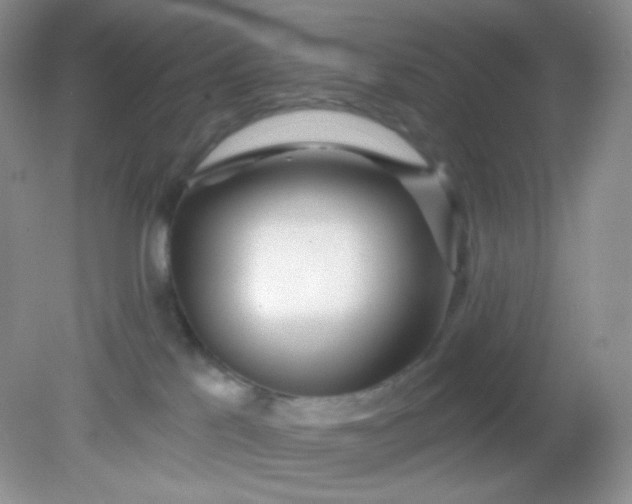 X0000081600041200701291412