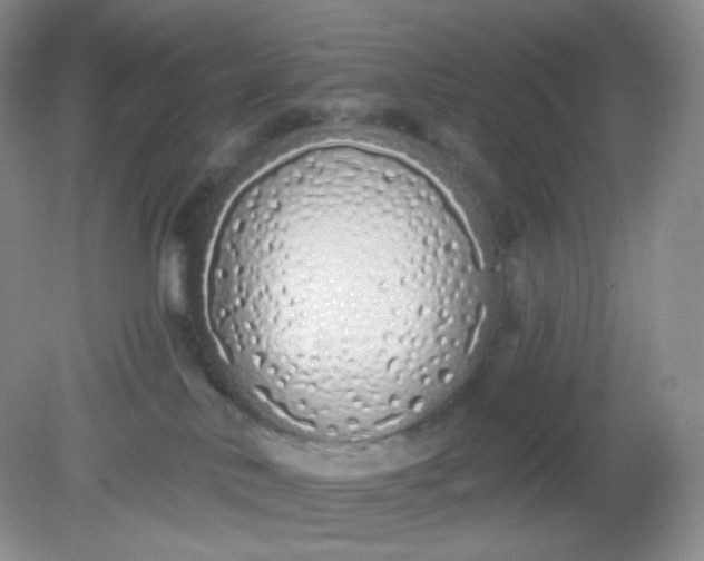 X0000081600042200701291412