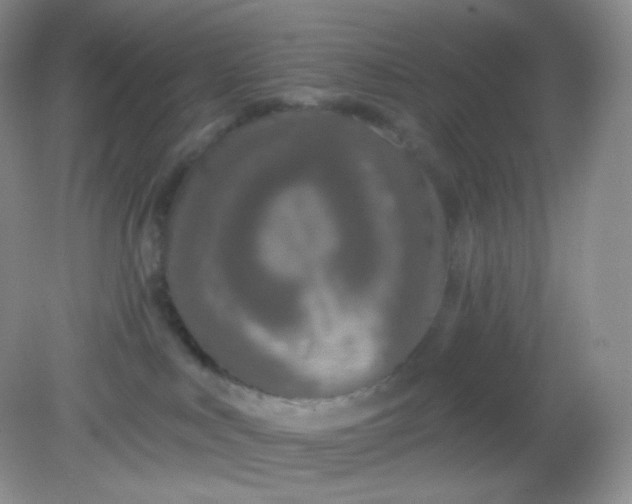 X0000081600043200701291412