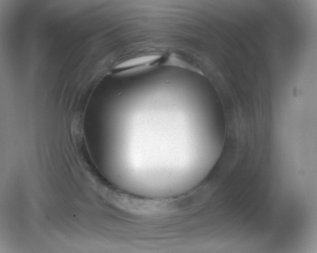 X0000081600044200701291412