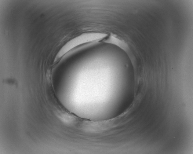 X0000081600045200701291412