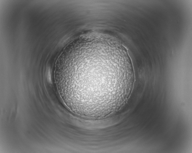 X0000081600046200701291412