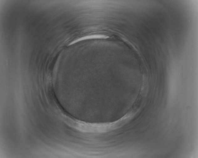 X0000081600048200701291412