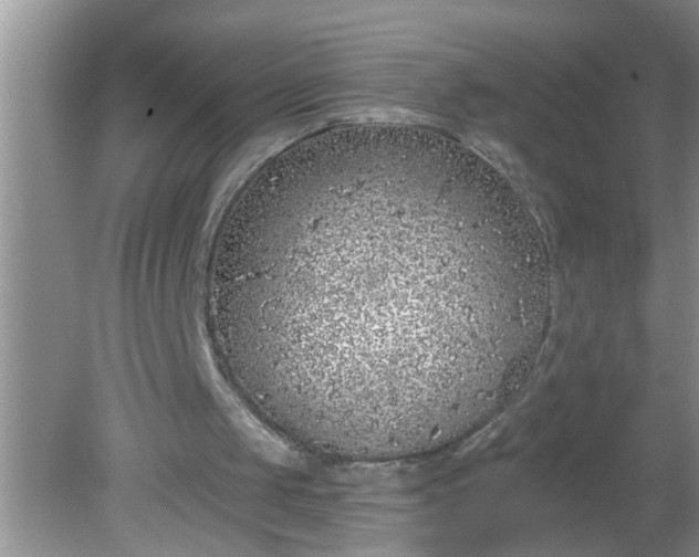 X0000081600049200701291412