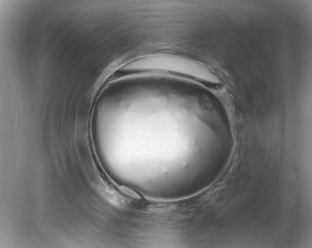 X0000081600051200701291412