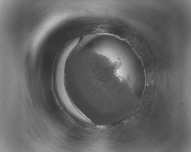 X0000081600052200701291412