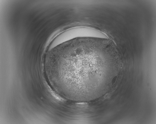 X0000081600053200701291412