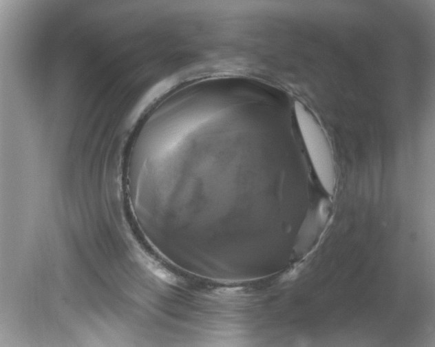 X0000081600054200701291412