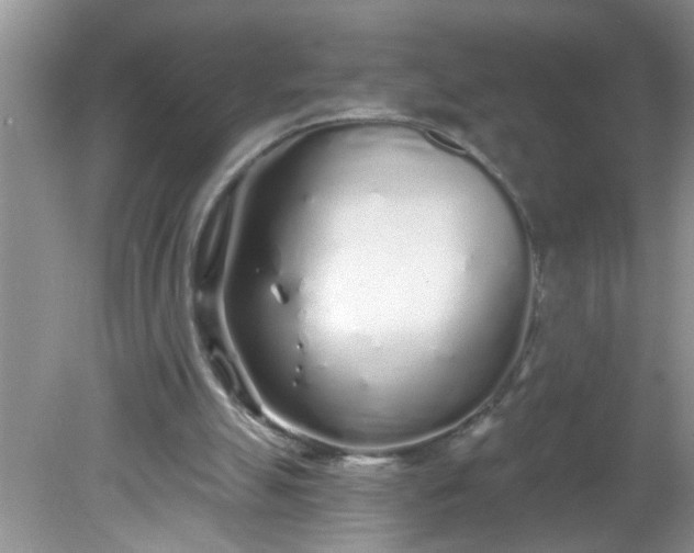 X0000081600055200701291412