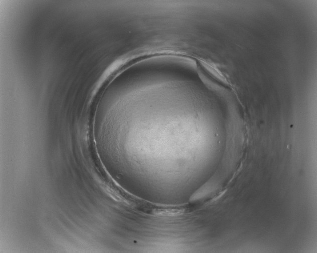 X0000081600056200701291412