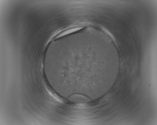 X0000081600059200701291412