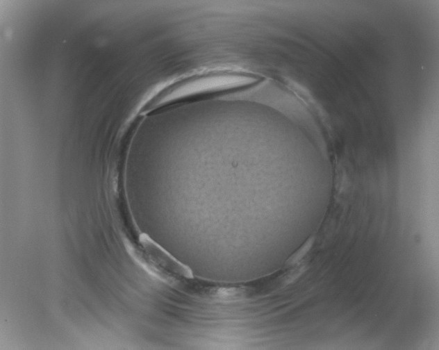 X0000081600060200701291412