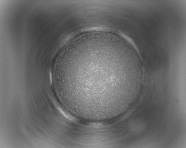 X0000081600061200701291412