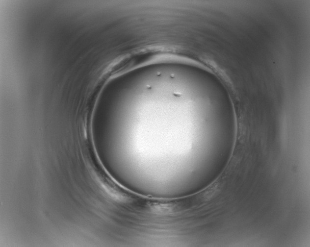 X0000081600062200701291412