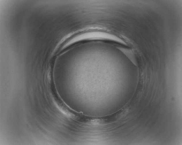 X0000081600064200701291412