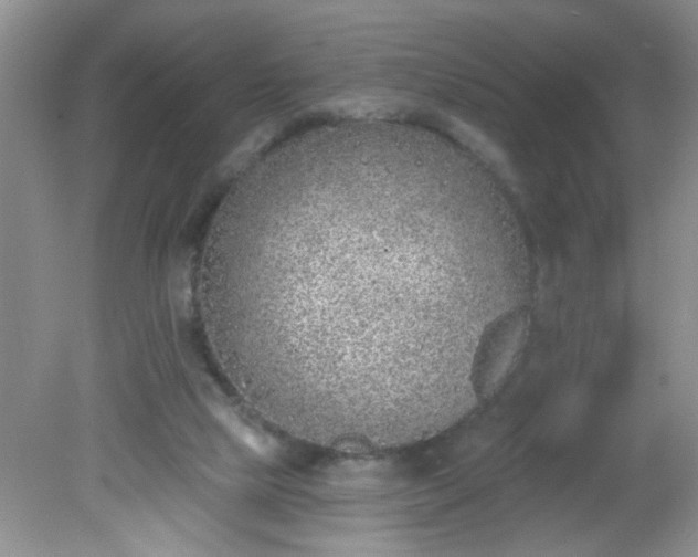 X0000081600065200701291412